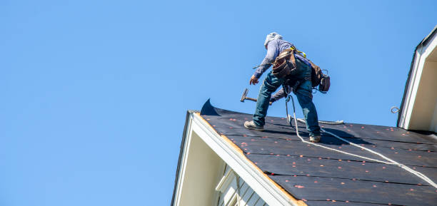 Best Roof Gutter Cleaning  in Buellton, CA